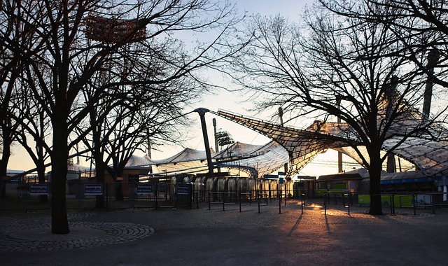 超级巨星比 超级巨星比