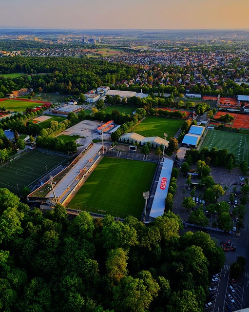 布莱顿的场 布莱顿的场