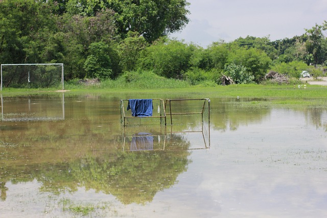 节奏通常以 节奏通常以