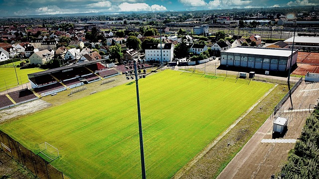 多元视角 多元视角