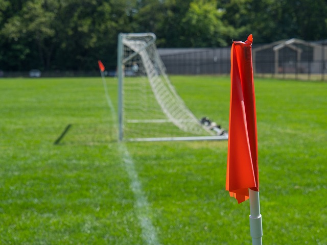 的杀手气质 的杀手气质