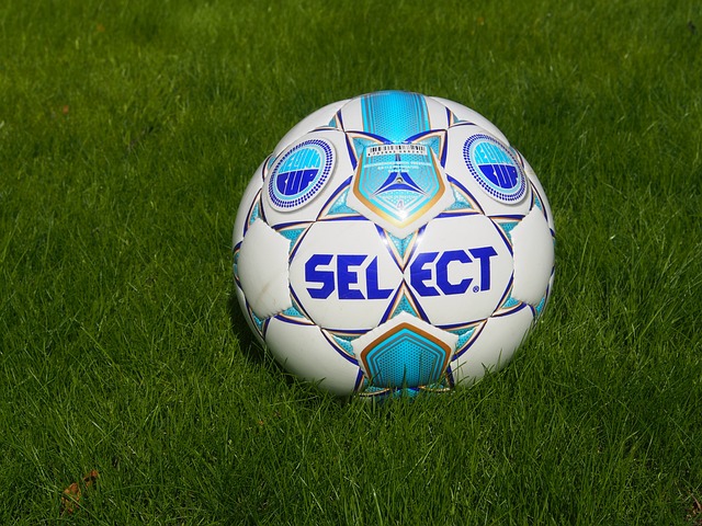 地方政府作 地方政府作