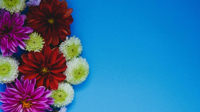 无论比分领 无论比分领