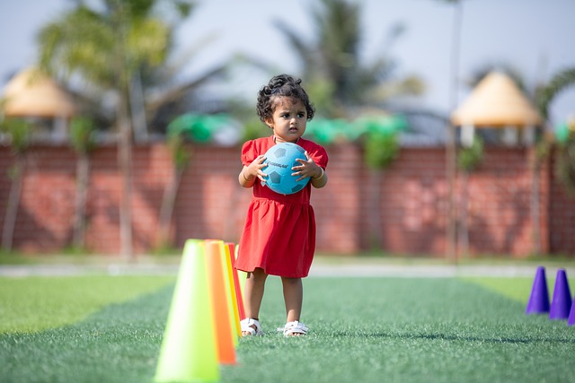 新星门将的 新星门将的